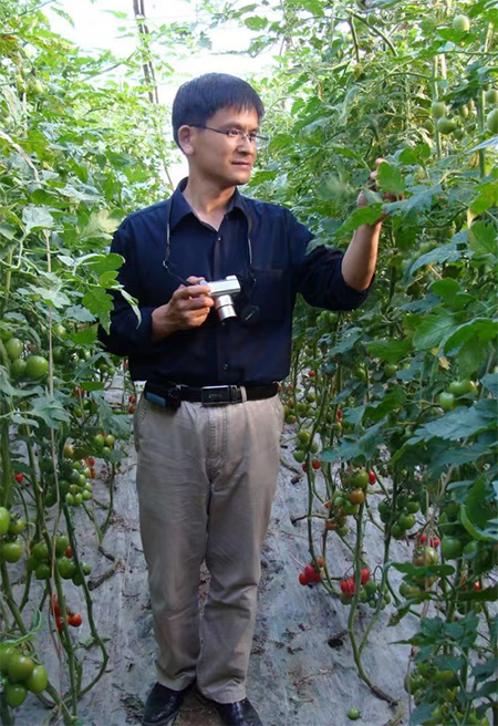全国政协委员李宝聚：培育设施蔬菜种植大户，推进设施蔬菜产业高质量发展