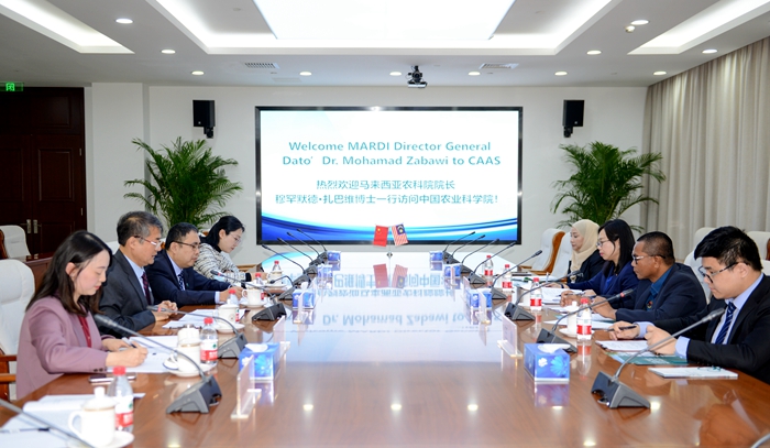 开会.jpg