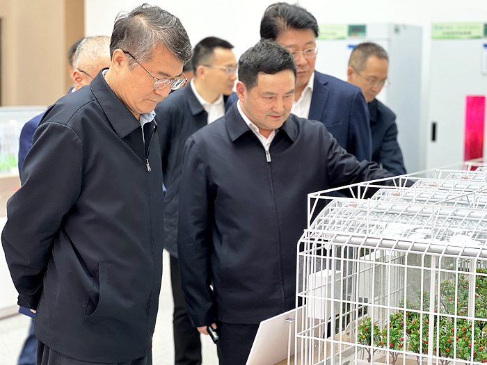 吴院长调研8.jpg