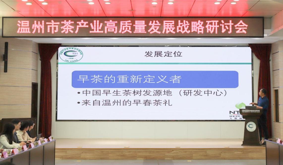 温州茶叶1.jpeg
