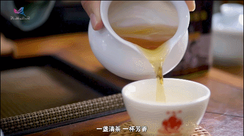 如何真正做有价值的科研？听“茶叶院士”陈宗懋的答案