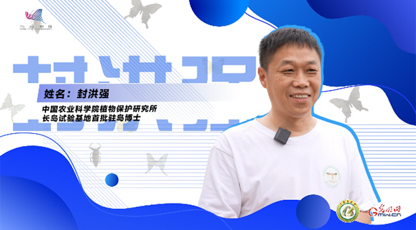 【一线调研·青春有为】一座海岛，一群博士，二十年接力只为一件事