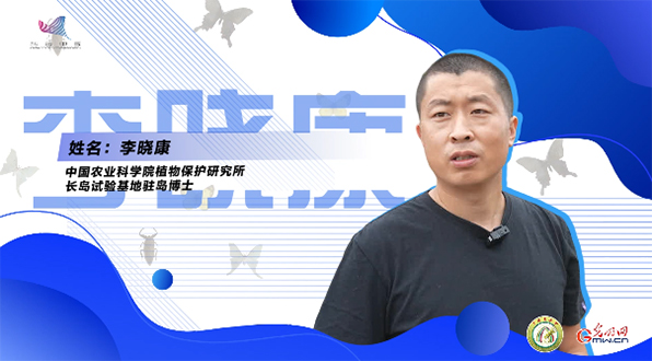 【一线调研·青春有为】一座海岛，一群博士，二十年接力只为一件事
