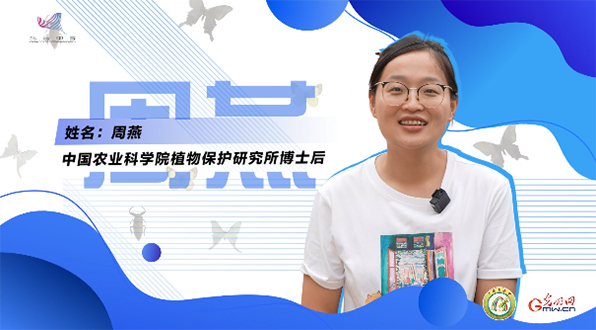 【一线调研·青春有为】一座海岛，一群博士，二十年接力只为一件事