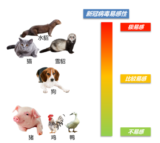 1 面向世界农业科技前沿，取得一批原创性科学成果1963.png