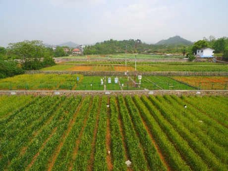 耕地保护与地力提升技术迭代升级， 守牢粮食生产“命根子”