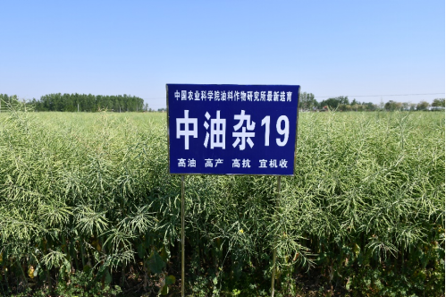 3 面向现代农业建设主战场，创制一批重大产品690.png