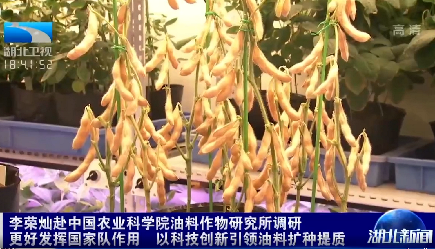 锻造3.png