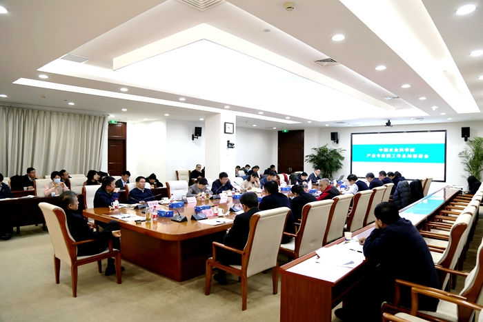 产业专家团总结部署会1.jpg