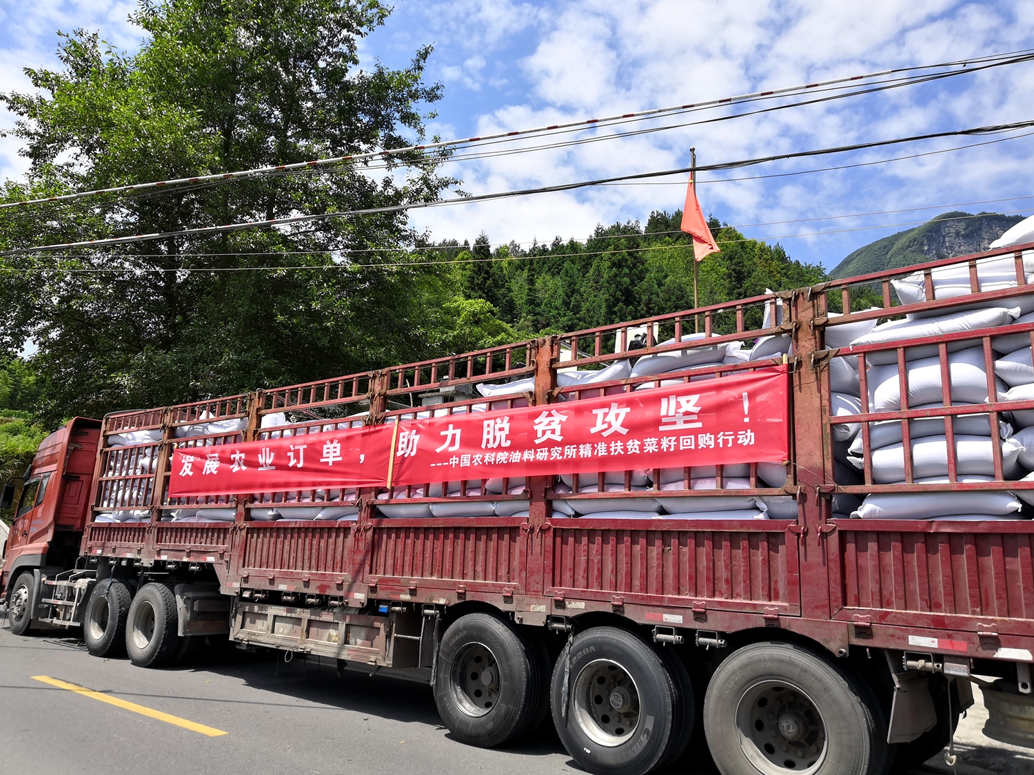4 2019年6月油菜遗传育种团队通过科技下乡在恩施田凤坪.jpg