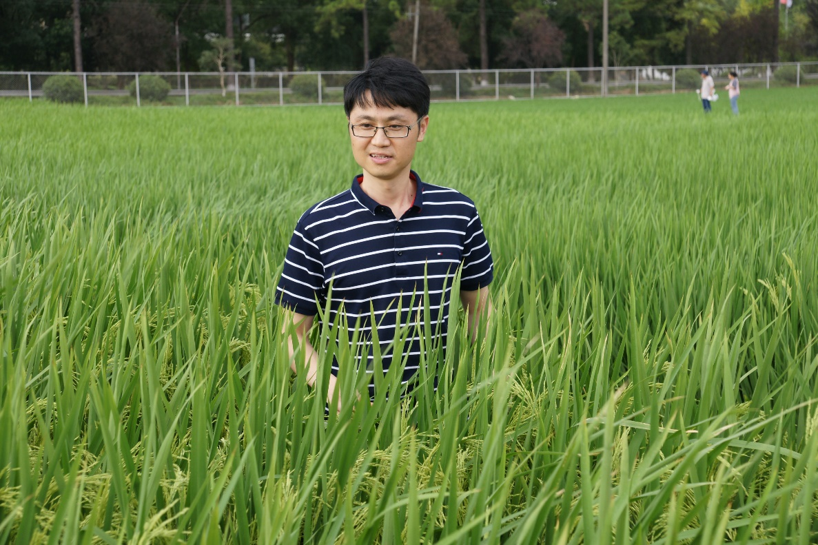 自留种1.png