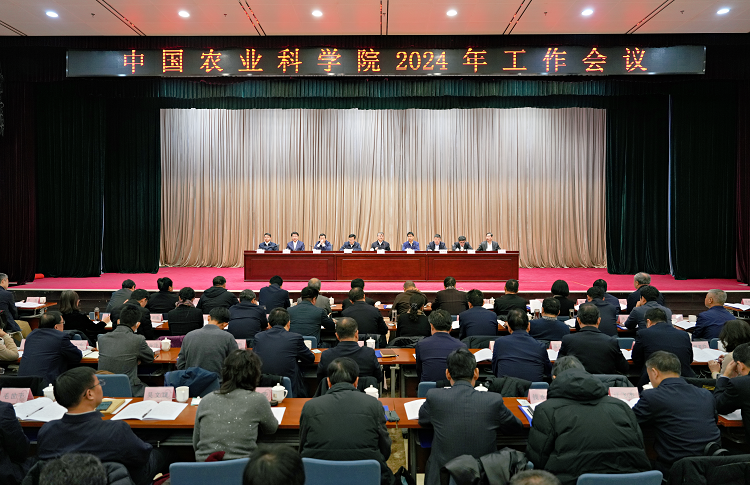图片11.png