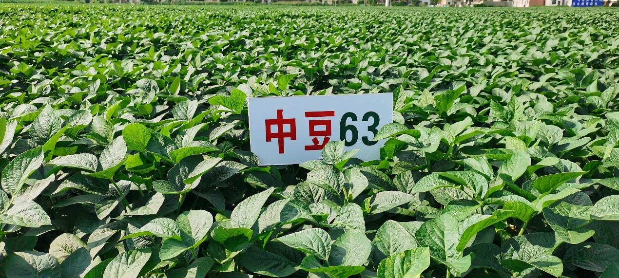 锻造5.png