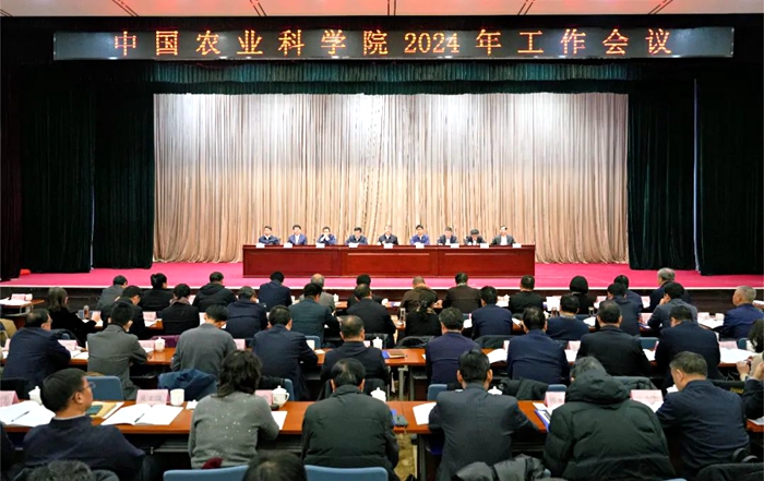 工作会议.jpg