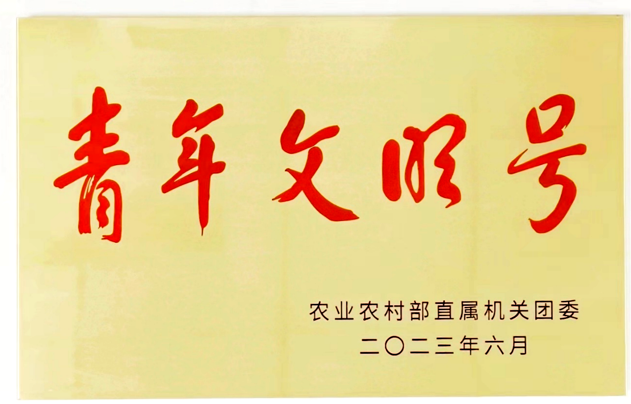 杂粮4.png