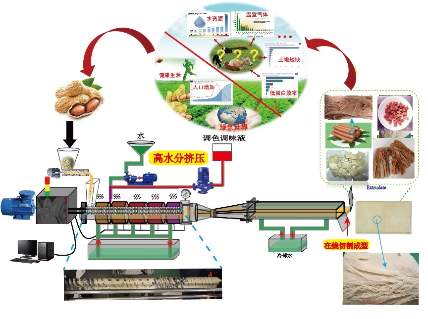 大食物观2.png