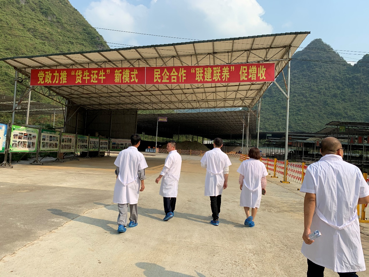 万颗心4.png