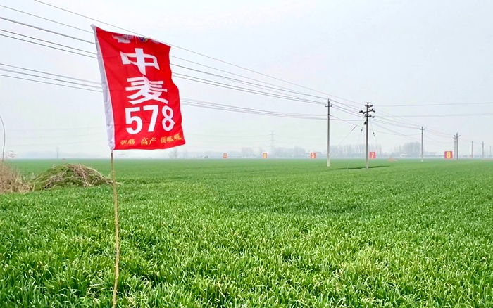 五位一体1.jpg