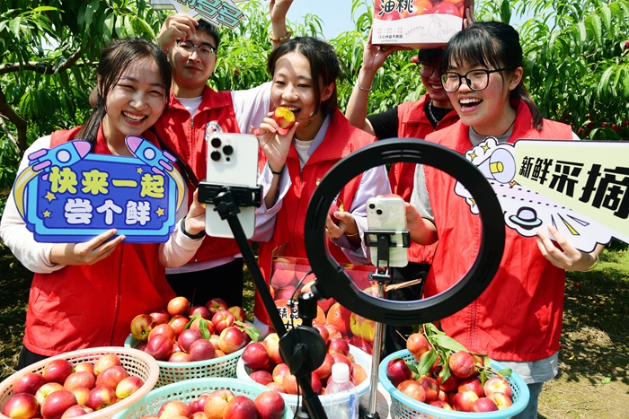白名单2.jpg