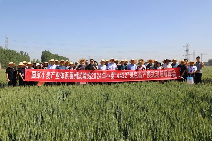 观摩会.jpg