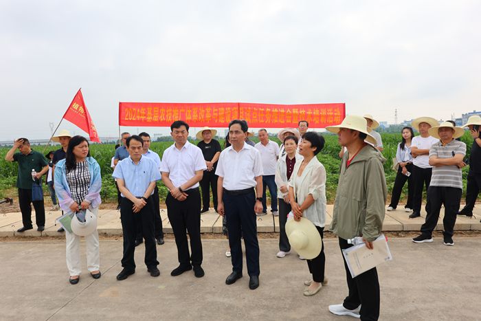 700-zhongyuan1.jpg