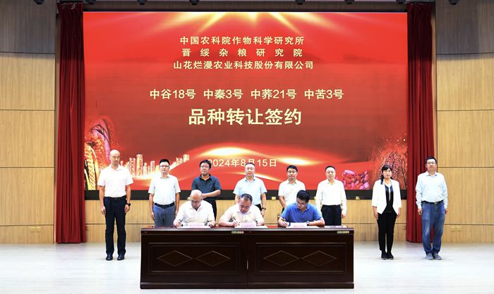 700小杂粮.jpg