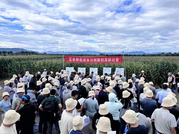 玉米大会700-3.jpg