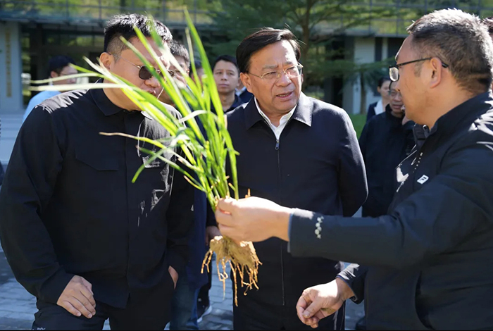 微信截图_20241202155809.png