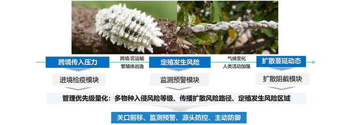 图片10.png