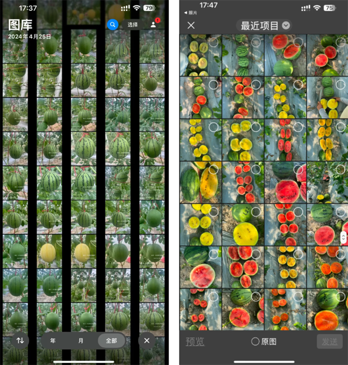 屏幕截图 2025-01-22 115047.png