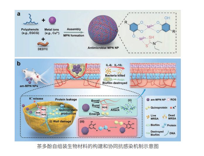2023发现9.jpg