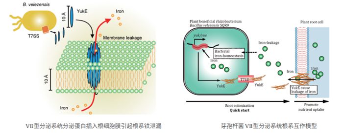 2023发现8.jpg