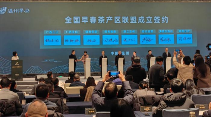 茶叶媒体700.jpg