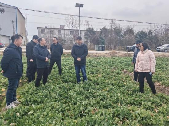 油菜产业专家团.png
