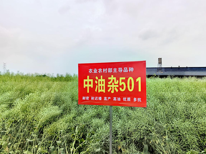 微信截图_20250428113118.png