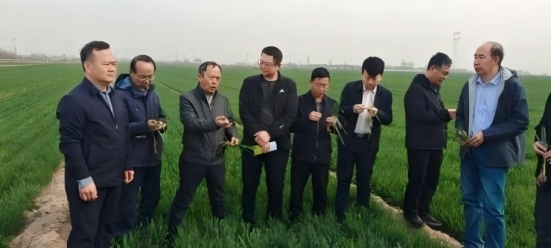 20250409专家团图片8.png