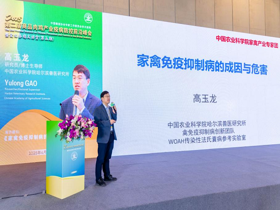 图片 6.png