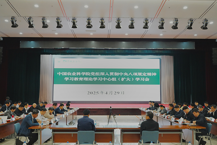 集中研讨环节700.jpg