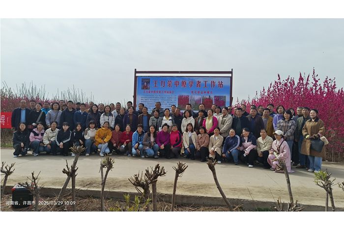 桃分会700.jpg