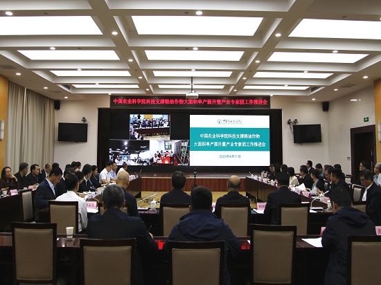 推进会.jpg