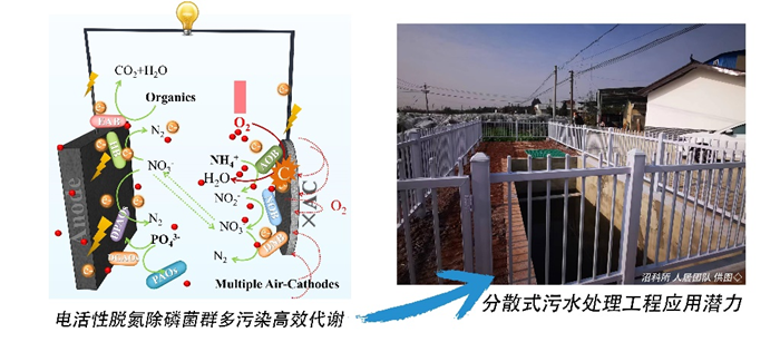 700电活性押题1.png