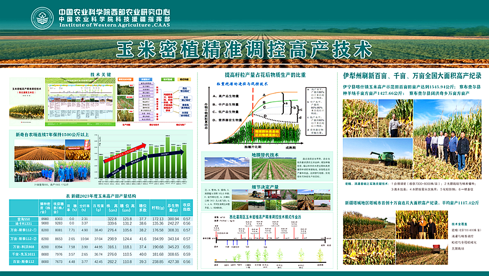 西部中心 海报副本.png