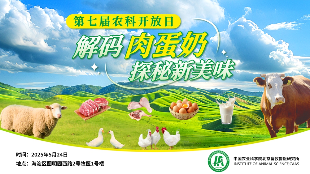 第七届海报-横版.jpg
