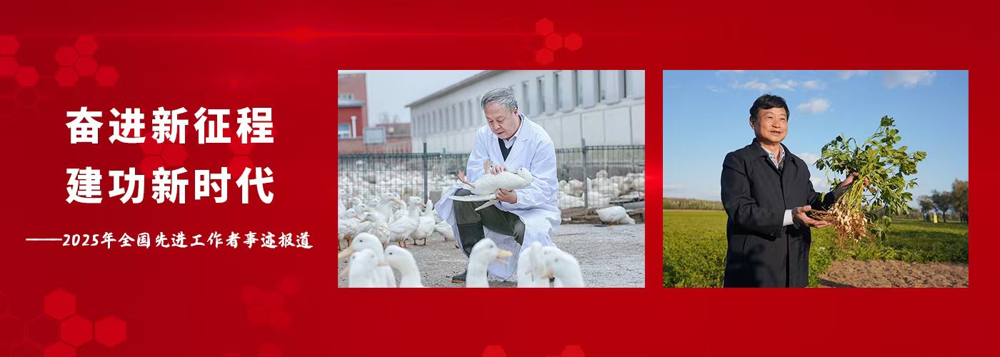 奋进新征程? 建功新时代