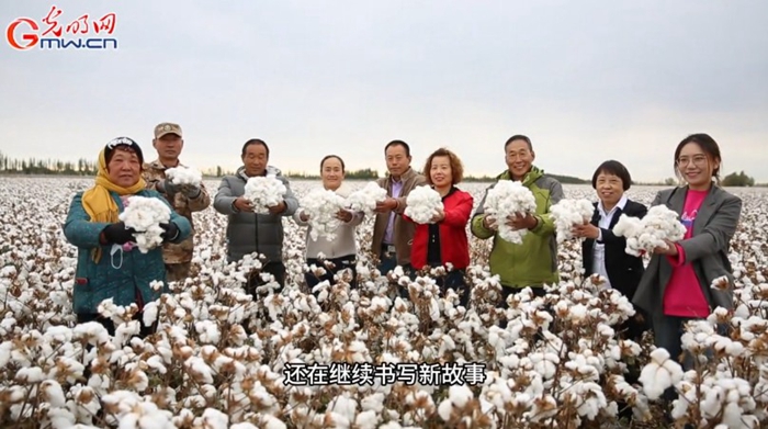 风吹棉桃见丰年 e0d55e9af22d2a372c7724.jpg